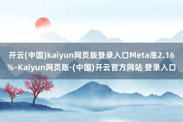 开云(中国)kaiyun网页版登录入口Meta涨2.16%-Kaiyun网页版·(中国)开云官方网站 登录入口