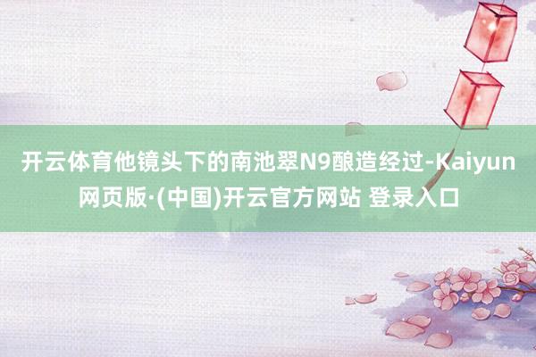 开云体育他镜头下的南池翠N9酿造经过-Kaiyun网页版·(中国)开云官方网站 登录入口