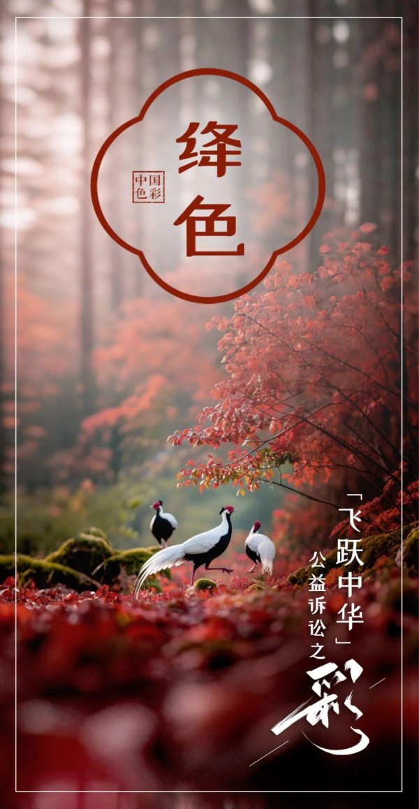 体育游戏app平台见证查察机关以公益诉讼之力-Kaiyun网