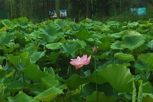 开云体育(中国)官方网站享受这好意思好的当然状态-Kaiyu