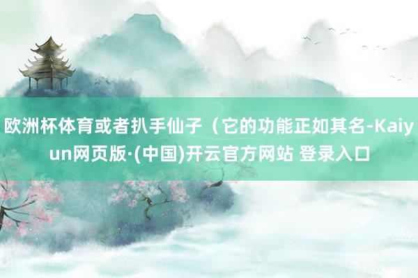 欧洲杯体育或者扒手仙子(它的功能正如其名-Kaiyun网页版·(中国)开云官方网站 登录入口
